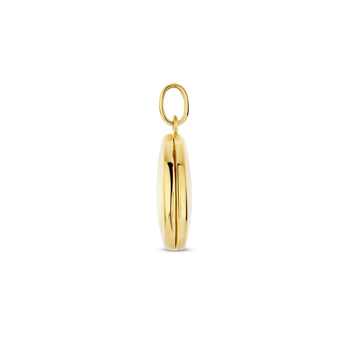 14K geelgoud medaillon druppel 20 mm 4032074 - PansiteNederland.nl