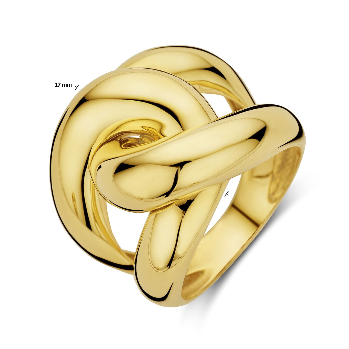 14K Geelgoud Ring Schakel 4032080 - PansiteNederland.nl