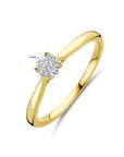14K Geelgoud Ring Lab Grown Diamant 0.25Ct H Si 4032318 - PansiteNederland.nl