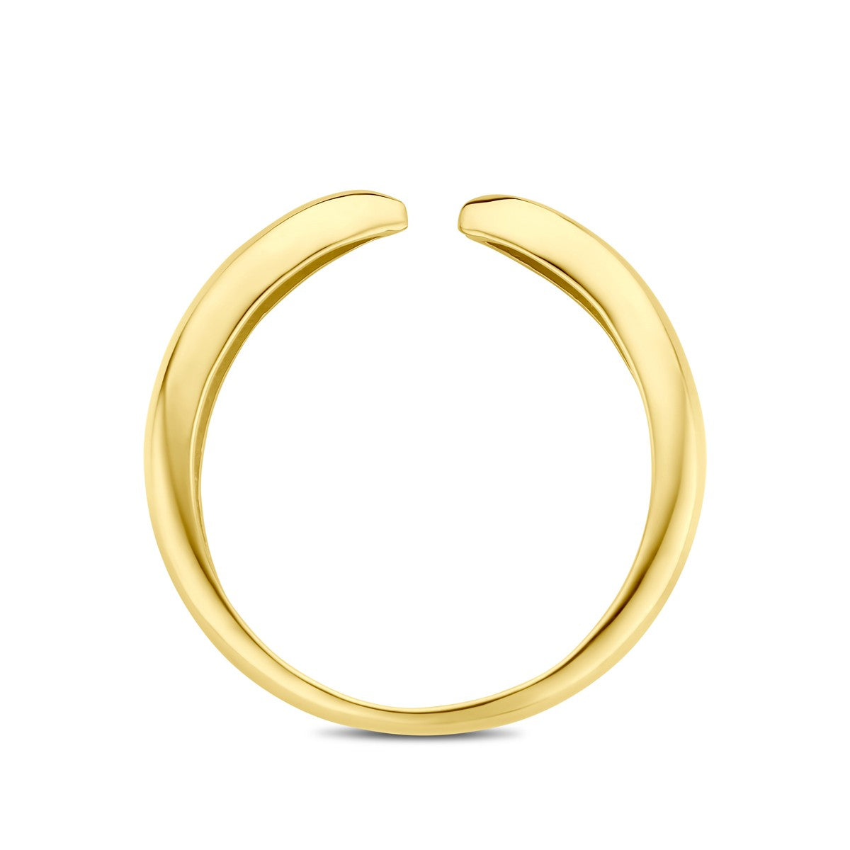 14K Geelgoud Ring 4032384 - PansiteNederland.nl