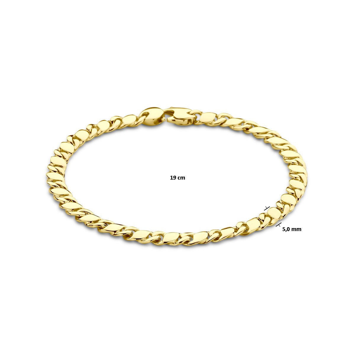 14K Geelgoud Armband Fantasie Schakel 5,0 Mm 19 Cm 4032408 - PansiteNederland.nl