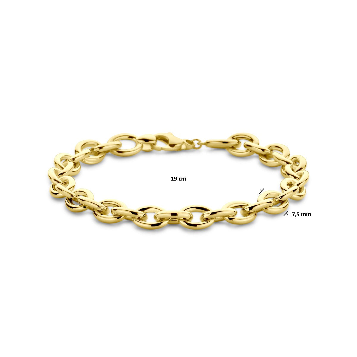 14K Geelgoud Armband 7,5 Mm 19 Cm 4032411 - PansiteNederland.nl