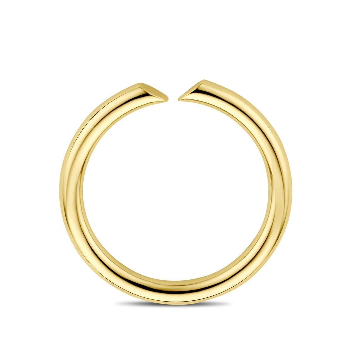 14K Geelgoud Ring 4032499 - PansiteNederland.nl