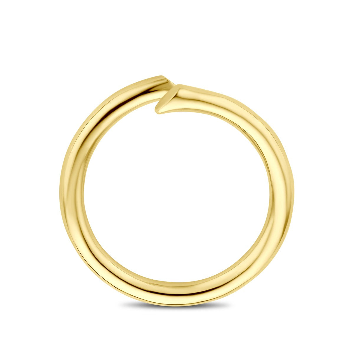 14K Geelgoud Ring 4032503 - PansiteNederland.nl