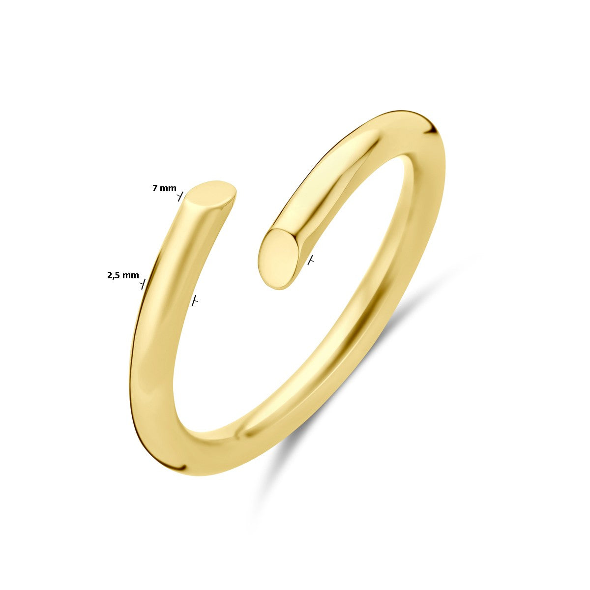 14K Geelgoud Ring 4032503 - PansiteNederland.nl