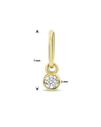14K geelgoud hanger zirkonia 4032524 - PansiteNederland.nl