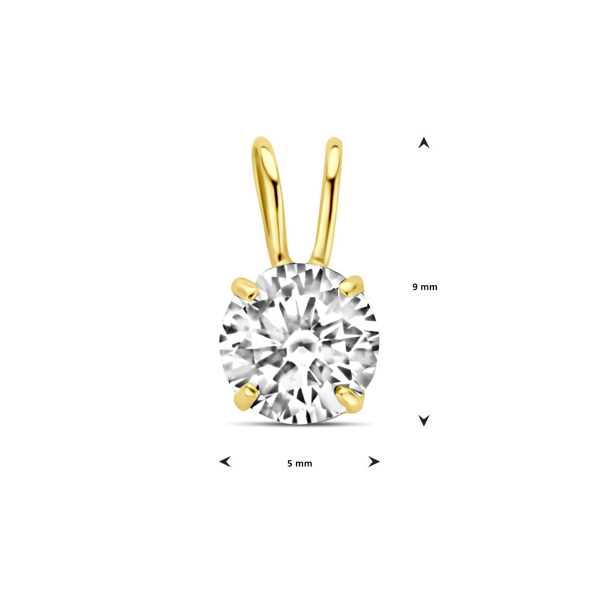 14K geelgoud hanger zirkonia 4032526 - PansiteNederland.nl