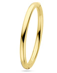 14K Geelgoud Bangle Scharnier Ronde Buis 6,0 X 60 Mm 4032788 - PansiteNederland.nl