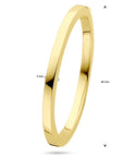 14K Geelgoud Bangle Scharnier Vlakke Buis 5,0 X 60 Mm 4032789 - PansiteNederland.nl