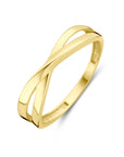 14K Geelgoud Ring 4032796 - PansiteNederland.nl