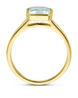 14K Geelgoud Ring Aquamarijn 4032862 - PansiteNederland.nl