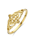 14K Geelgoud Ring 4032891 - PansiteNederland.nl