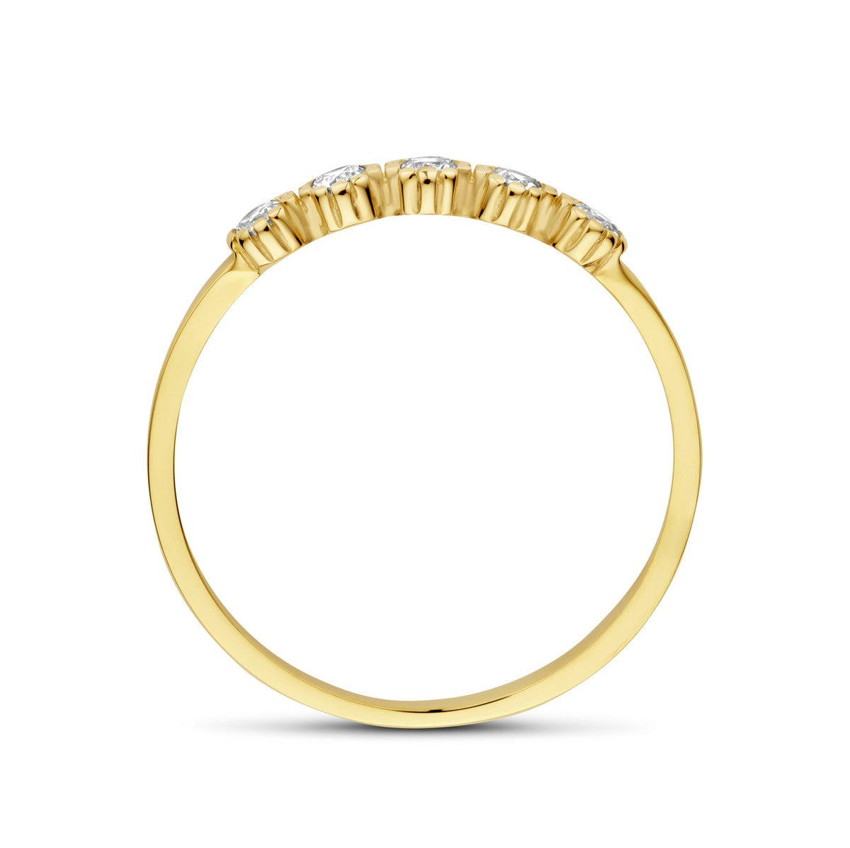 14K geelgouden ring met zirkonia 4032896 - PansiteNederland.nl