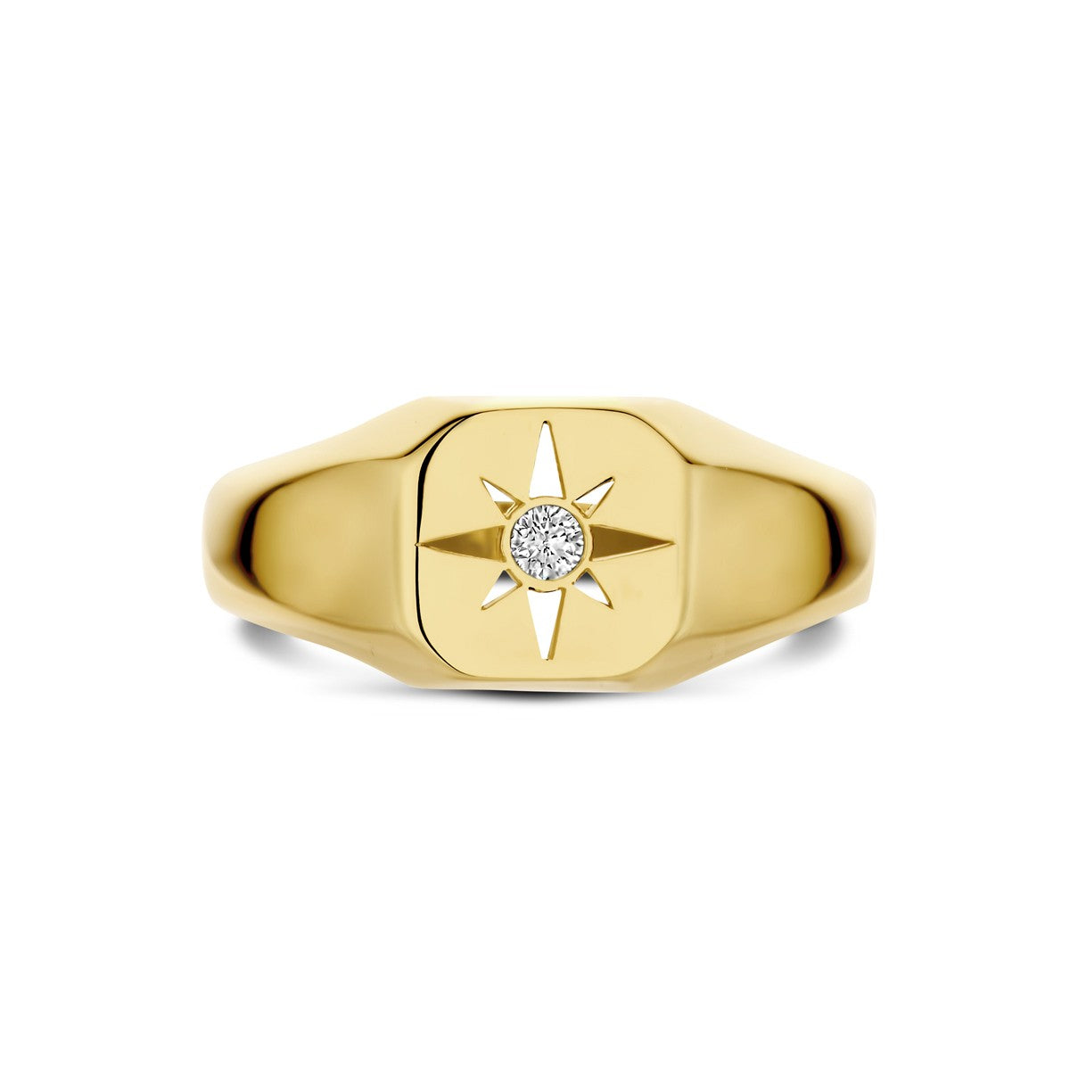 14K Geelgoud Ring Met Zirkonia 4032901 - PansiteNederland.nl