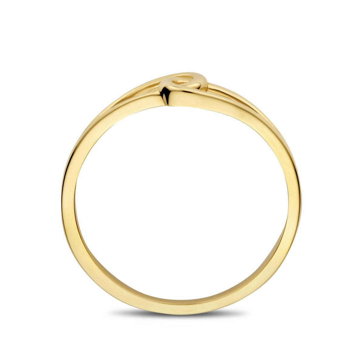 14K Geelgoud Ring 4032976 - PansiteNederland.nl