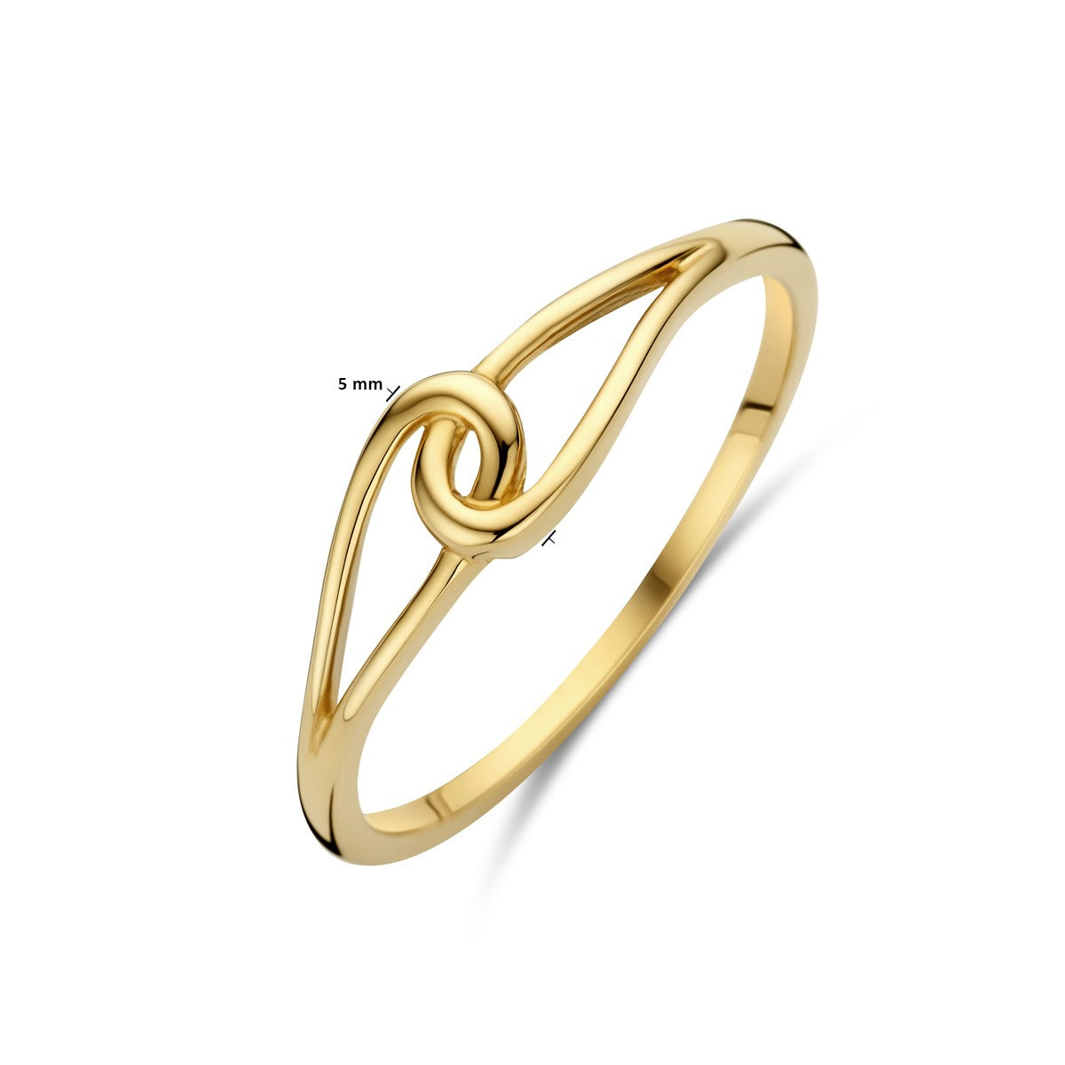 14K Geelgoud Ring 4032976 - PansiteNederland.nl