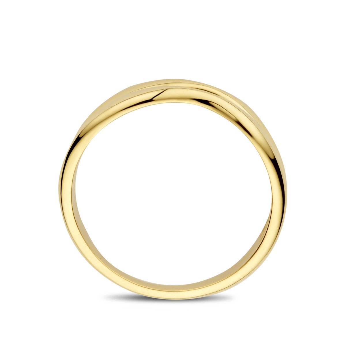 14K Geelgoud Ring 4032985 - PansiteNederland.nl
