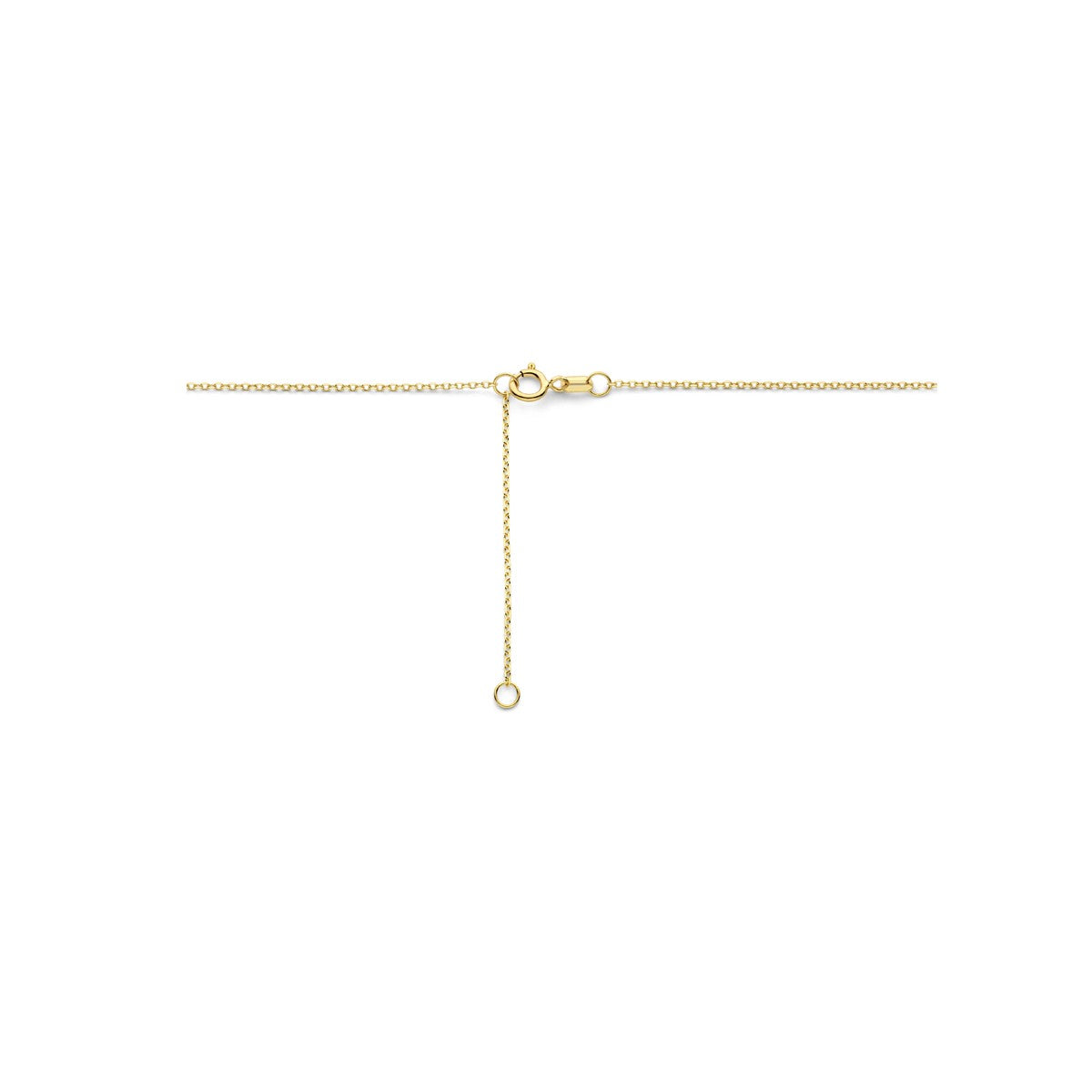 14K geelgoud collier roos 41 - 45 cm 4033023 - PansiteNederland.nl