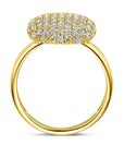 14K geelgoud Ring Zirkonia 14K Geelgoud - 4033181