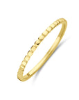 14K geelgoud Ring 14K Geelgoud - 4033358 - PansiteNederland.nl