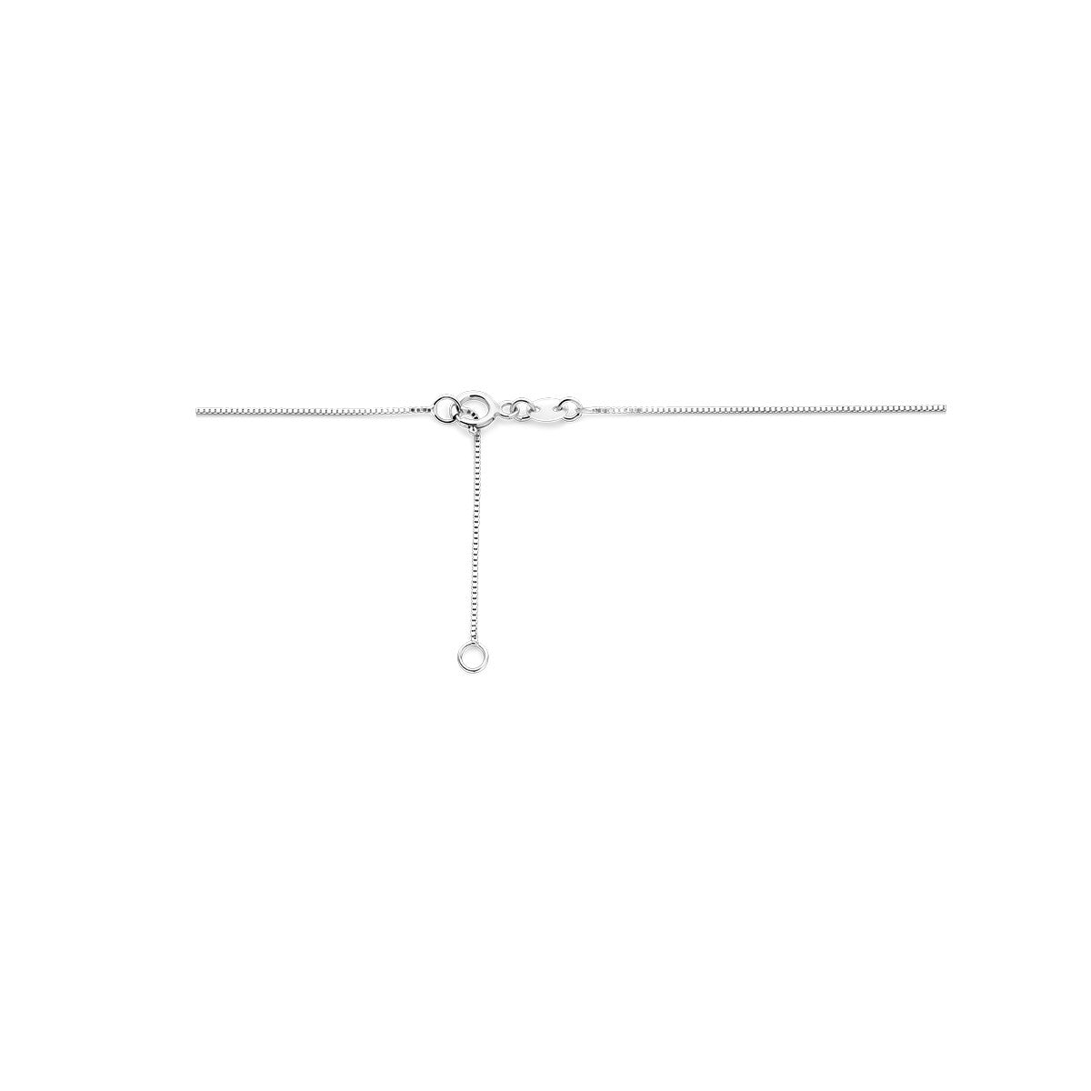 14K witgoud collier diamant 0.05ct h si 42 - 45 cm 4106019 - PansiteNederland.nl