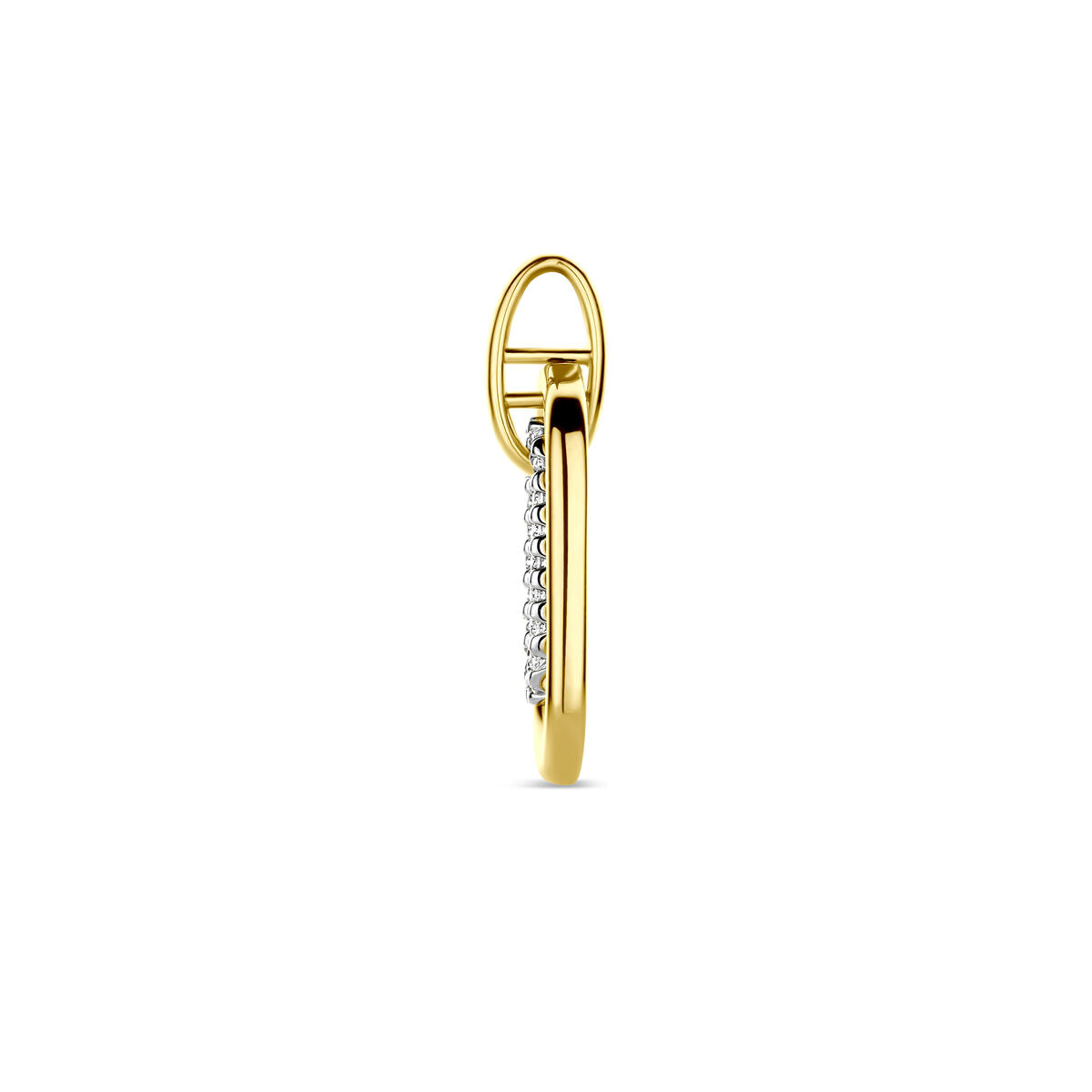 14K bicolor gouden geel/wit hanger diamant 0.08ct h si 20 mm - 4209056 - PansiteNederland.nl