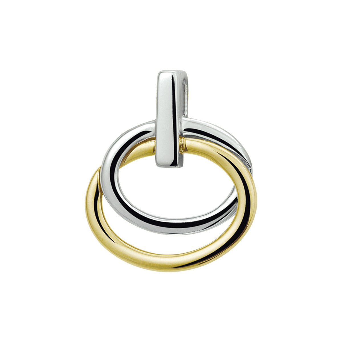 14K bicolor goud geel/wit hanger 4205250 - PansiteNederland.nl