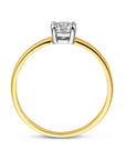 14K Bicolor Geel- En Witgoud Geel/Wit Ring Met Zirkonia 4208272 - PansiteNederland.nl