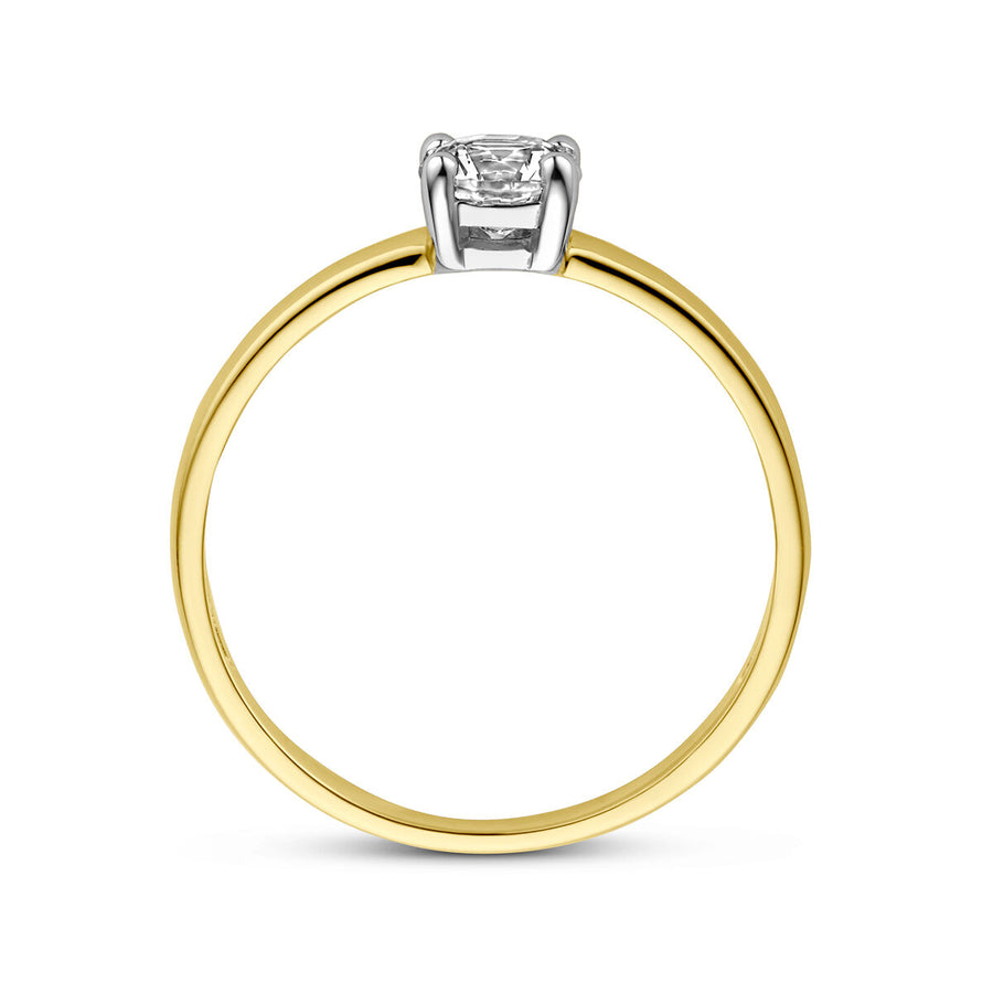 14K Bicolor Gouden ring Gepolijst | 4208272