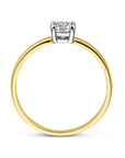 14K Bicolor Geel- En Witgoud Geel/Wit Ring Met Zirkonia 4208272 - PansiteNederland.nl