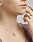 Bicolor 14K Gouden Ring zirkonia - PSN4208420