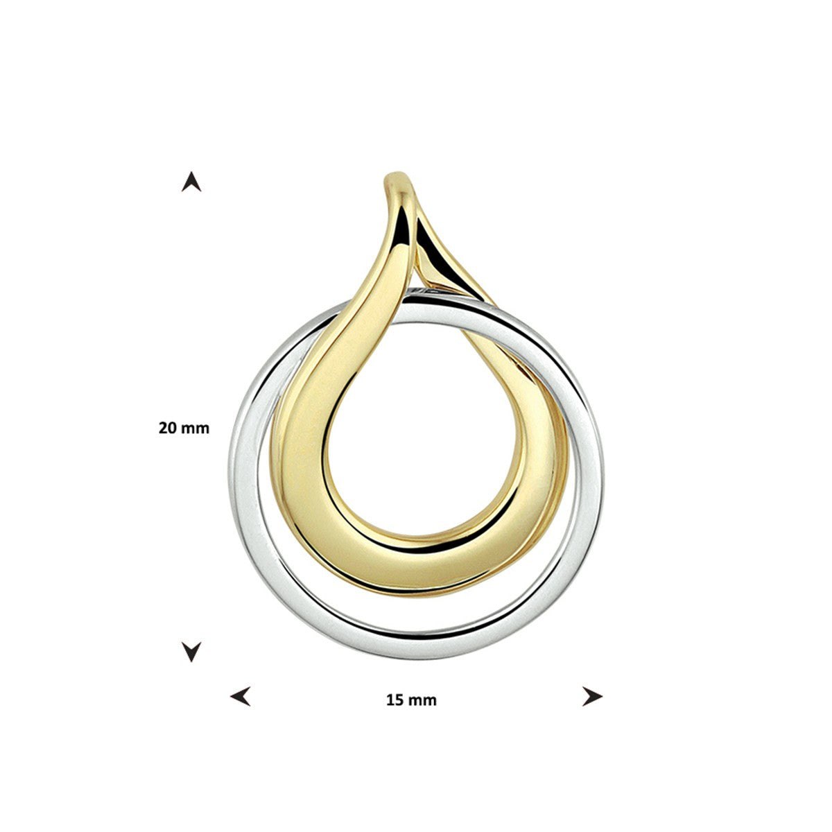 14K bicolor goud geel/wit hanger 4208593 - PansiteNederland.nl