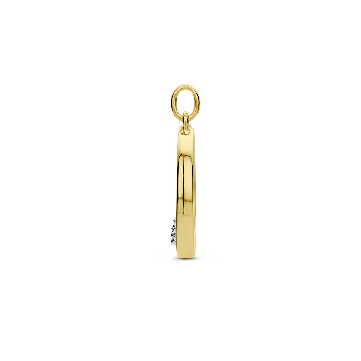 14K bicolor goud geel/wit hanger cirkel diamant 0.115ct h si 4208975 - PansiteNederland.nl
