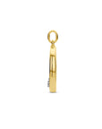 14K bicolor goud geel/wit hanger cirkel diamant 0.115ct h si 4208975 - PansiteNederland.nl