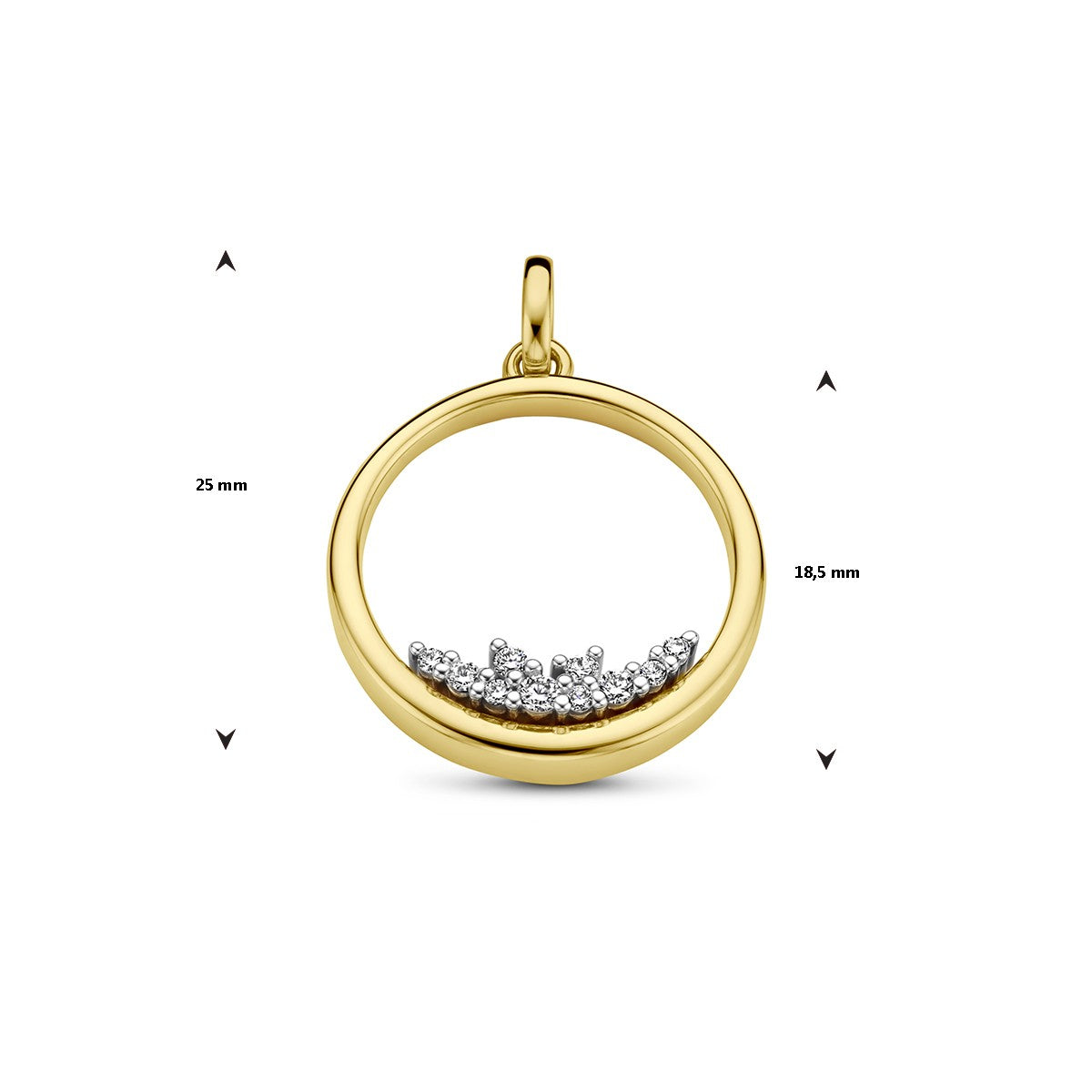 14K bicolor goud geel/wit hanger cirkel diamant 0.115ct h si 4208975 - PansiteNederland.nl