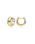 14K bicolor goud geel/wit klapoorringen 17 mm - 4209034 - PansiteNederland.nl