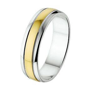 Fantasy Collection 14K Bicolor Gouden Ring 4207653