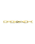 Zilgold (geelgoud met zilverkern) collier paperclip plat massief 5,0 mm 45 cm 5000283