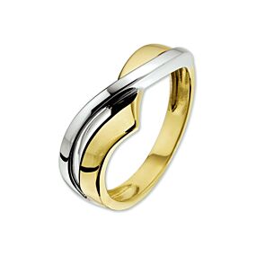 Fantasy Collection 14K Bicolor Gouden Ring 4205506