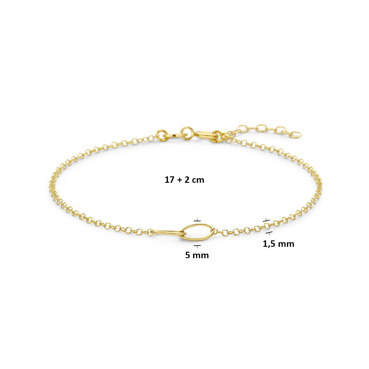 Armband ovaaltjes 17 + 2 cm 14K geelgoud