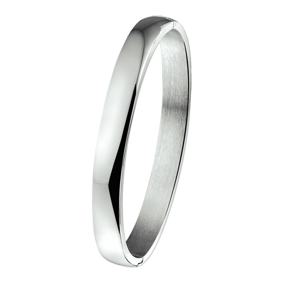 Edelstaal Bangle Scharnier Massief 8 X 60 Mm 6505735 - PansiteNederland.nl