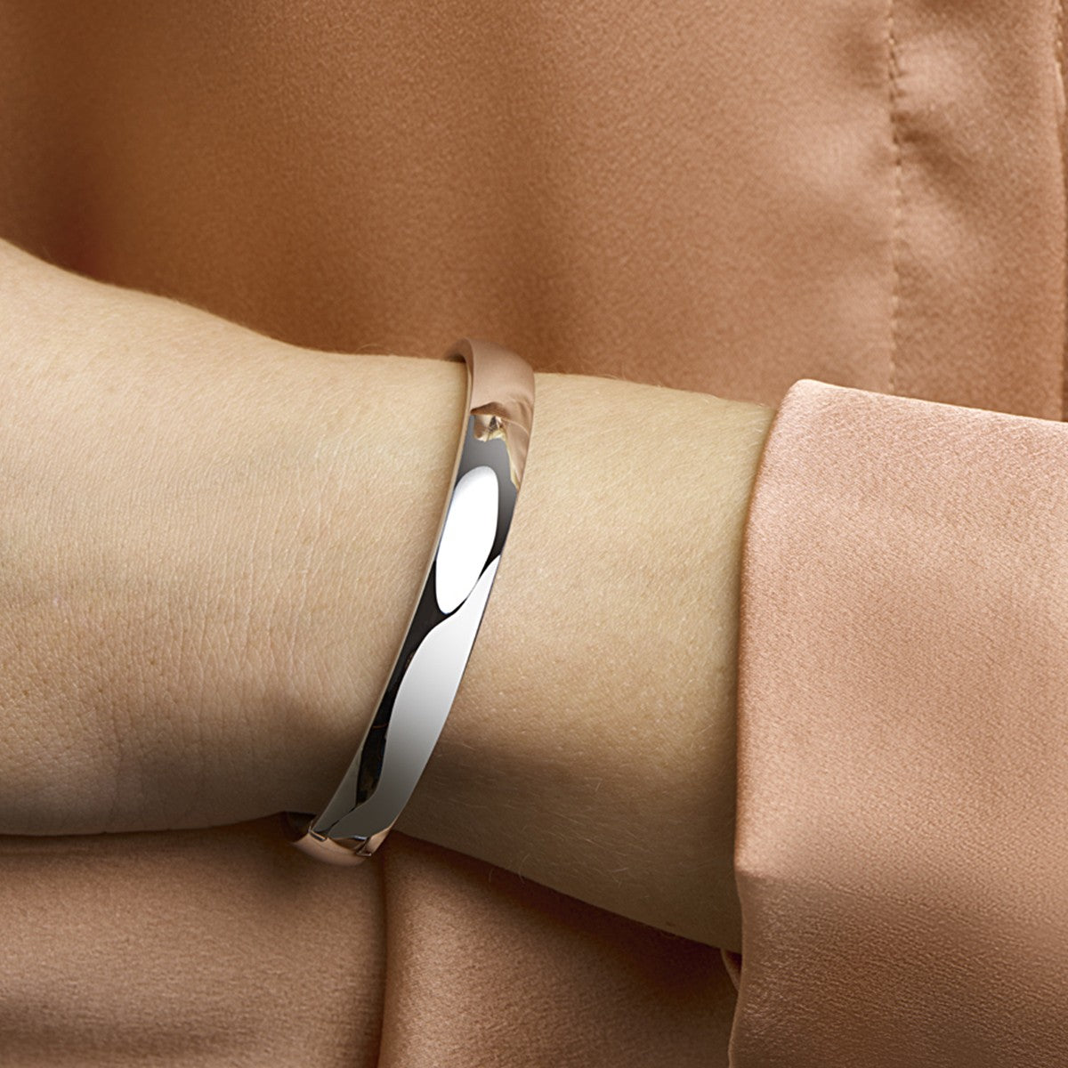 Edelstaal Bangle Scharnier Massief 8 X 60 Mm 6505735 - PansiteNederland.nl