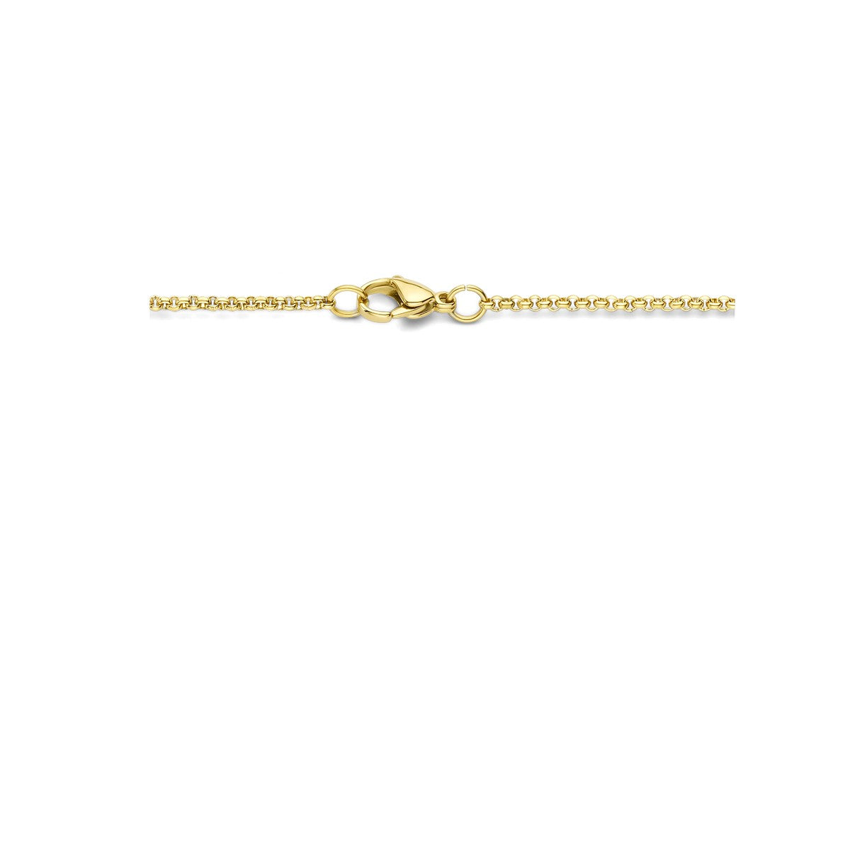 edelstaal collier balkje 60 cm ion plating 6506126 - PansiteNederland.nl