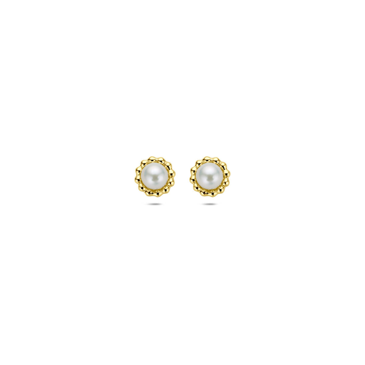 Oorknoppen parel 14K geelgoud 5,5 mm