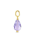 14K geelgoud hanger amethist 4030769