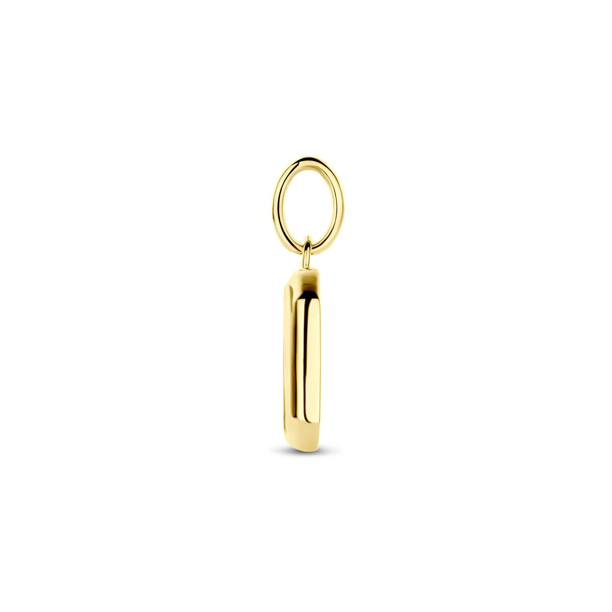 zilver verguld (geel) hanger onyx 20 mm 1 micron - 2104028 - PansiteNederland.nl