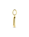 zilver verguld (geel) hanger onyx 20 mm 1 micron - 2104028 - PansiteNederland.nl
