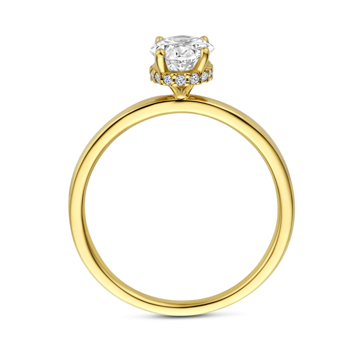Fantasy Collection 14K Geelgouden Diamanten Ring 4036215