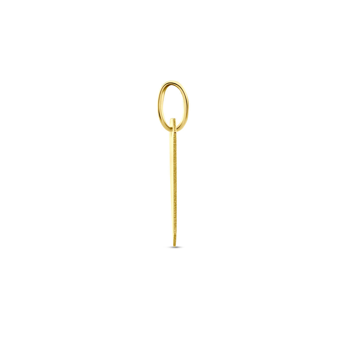 9K Geelgouden 9k graveerhanger 20 mm - 8000167 - PansiteNederland.nl