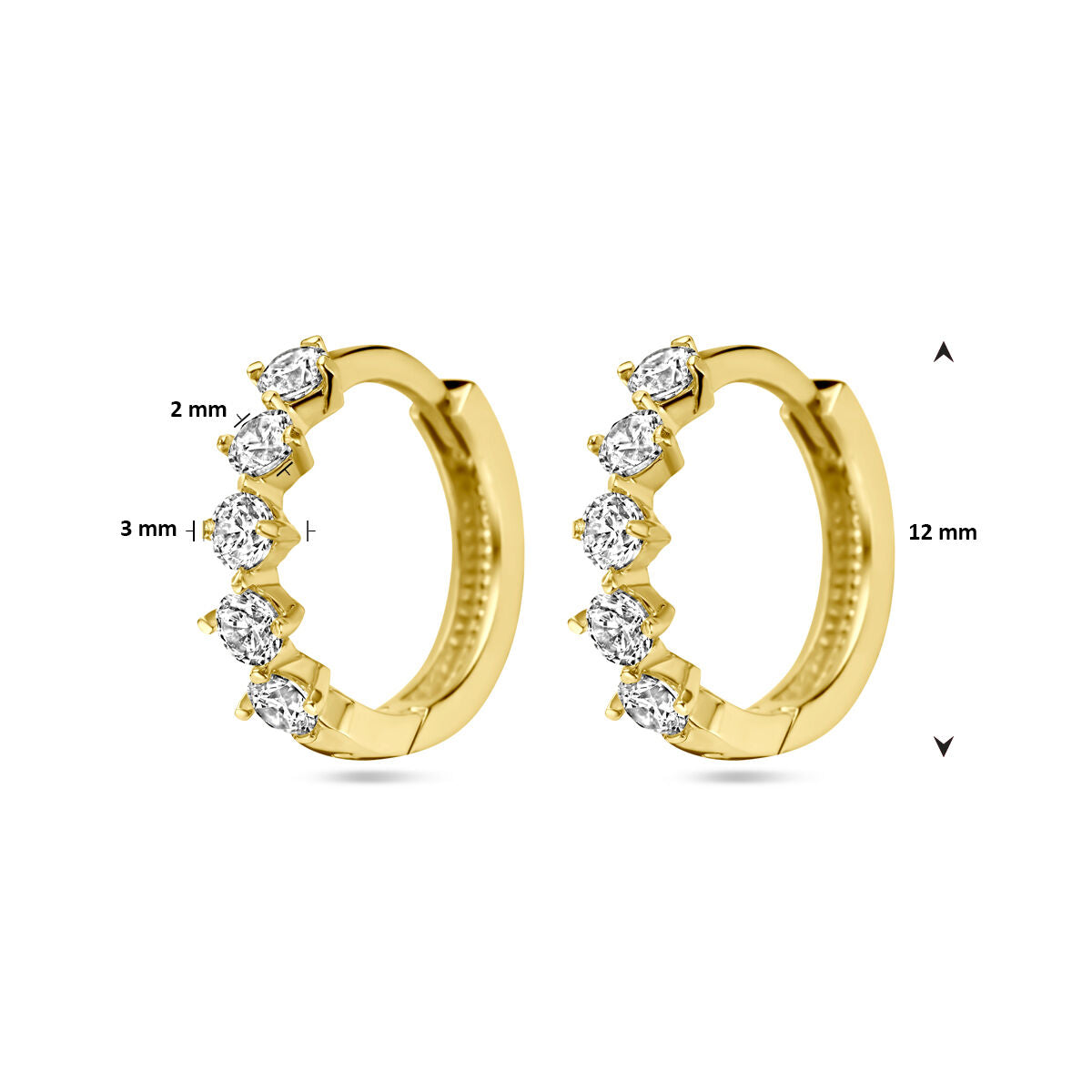Fantasy Collection Oorbellen zirkonia 14K geelgoud